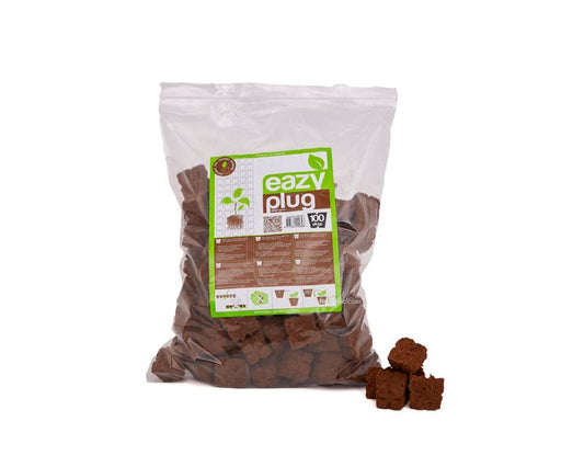 Bolsa Dried Eazy Plug (3,5 x 3,5 x 3 cm) 50 uds HGA