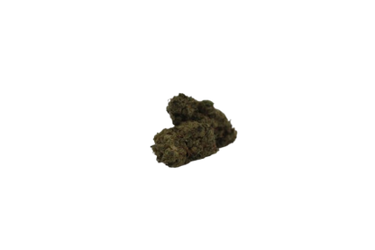 Flor de CBD Gelato Premium – 10g