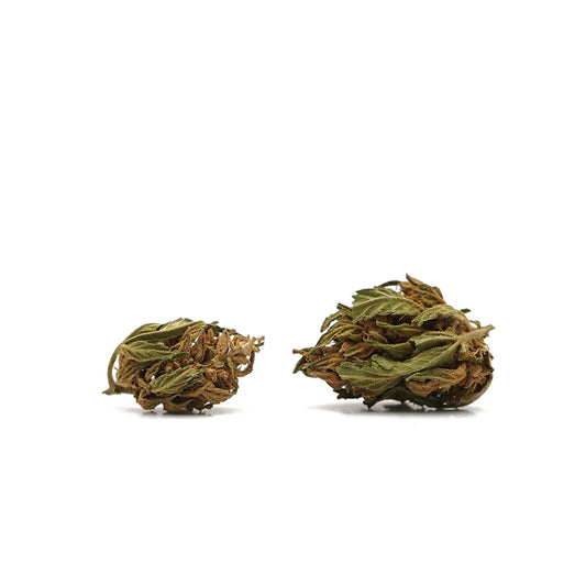 Flores CBG Banana – Pequeñas Cabezas (10g)