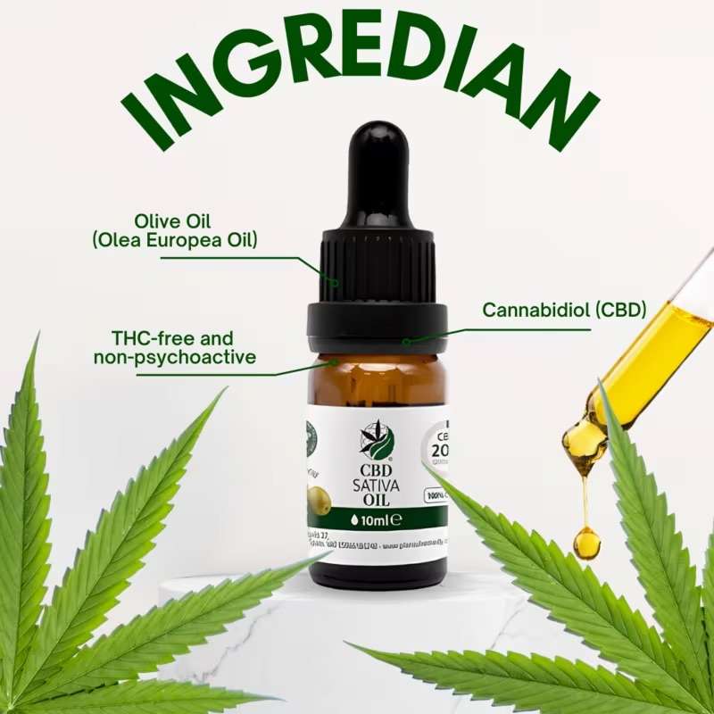 Aceite de Oliva con 20% CBD – 10ml | Plant of Remedy