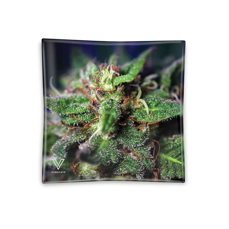 Cenicero de Cristal "Blue Dream" – V-Syndicate