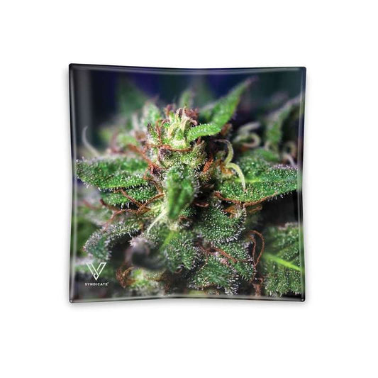 Cenicero de Cristal "Blue Dream" – V-Syndicate