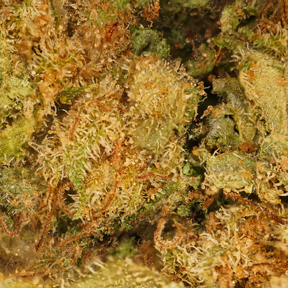 Flores de CBD Popcorn (10 gramos)