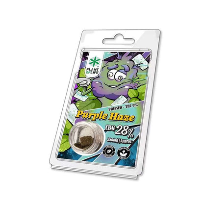 Polen de CBG Purple Haze – Plant of Life (28% CBG, 1g)