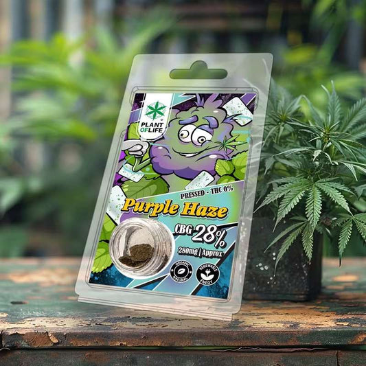 Polen de CBG Purple Haze – Plant of Life (28% CBG, 1g)