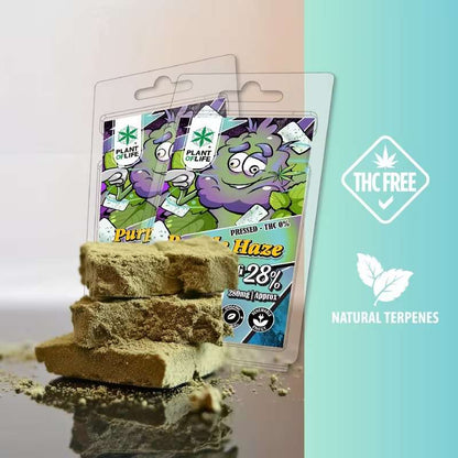 Polen de CBG Purple Haze – Plant of Life (28% CBG, 1g)